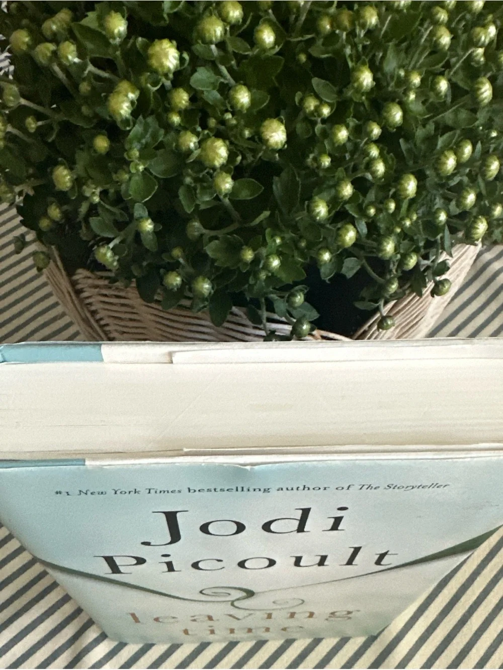 - Leaving Time (Light Blue Hardcover)